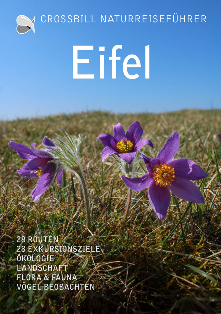 Eifel (Olaf Op Den Kamp)
