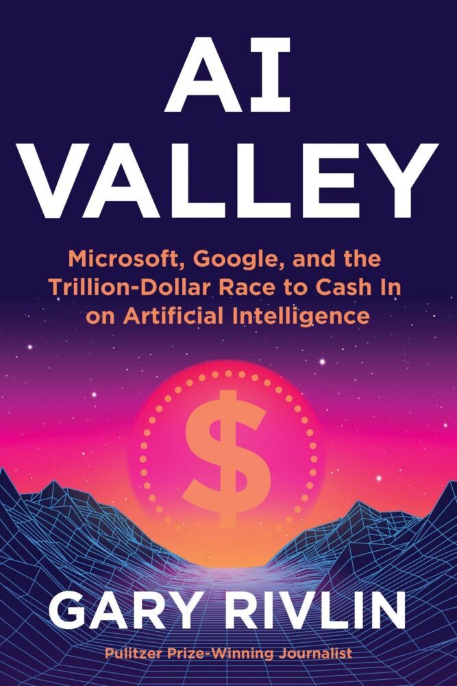 AI Valley (Gary Rivlin)