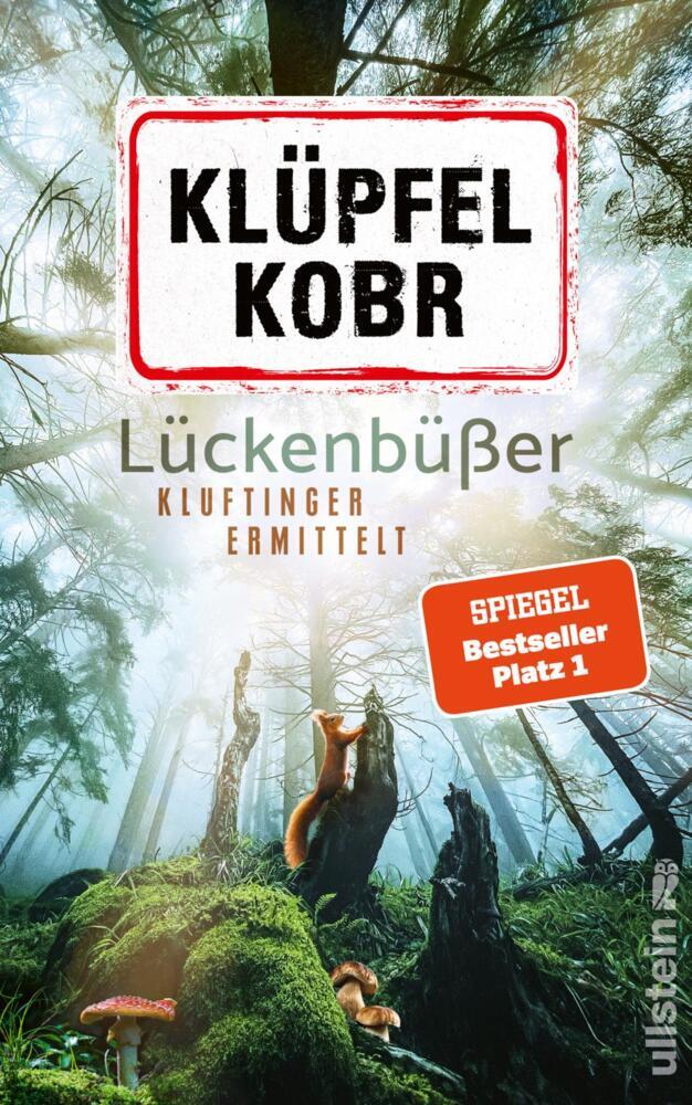 Lückenbüßer (Volker Klüpfel)