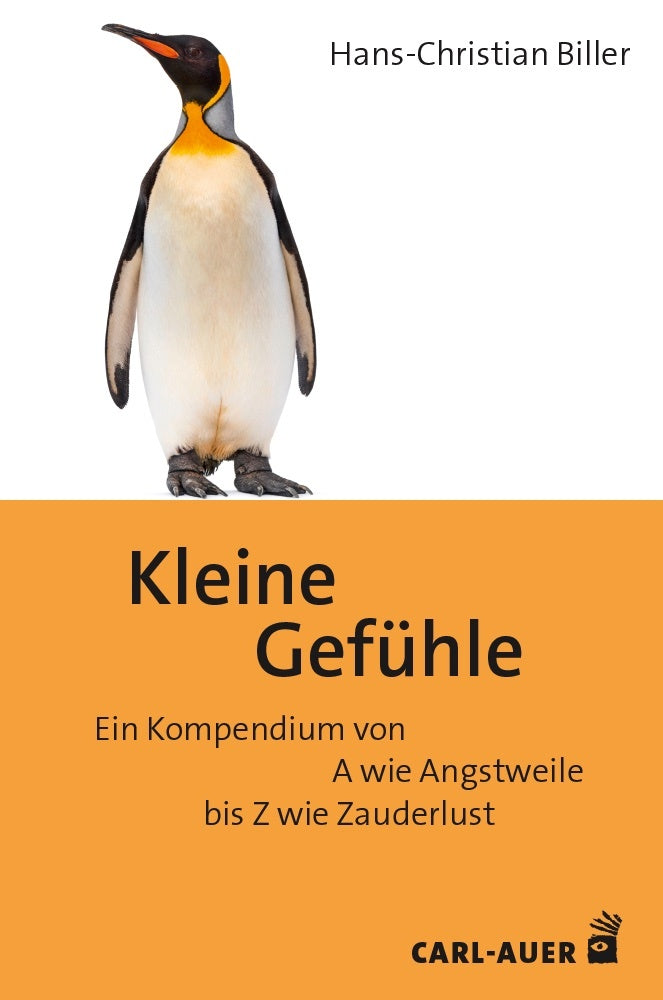 Kleine Gefühle (Hans-Christian Biller)