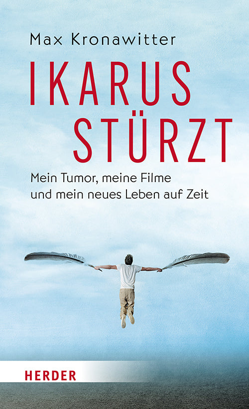 Ikarus stürzt (Max Kronawitter)