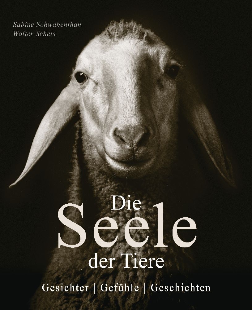 Die Seele der Tiere. Gesichter. Gefühle. Geschichten (Sabine Remy-Schwabenthan)