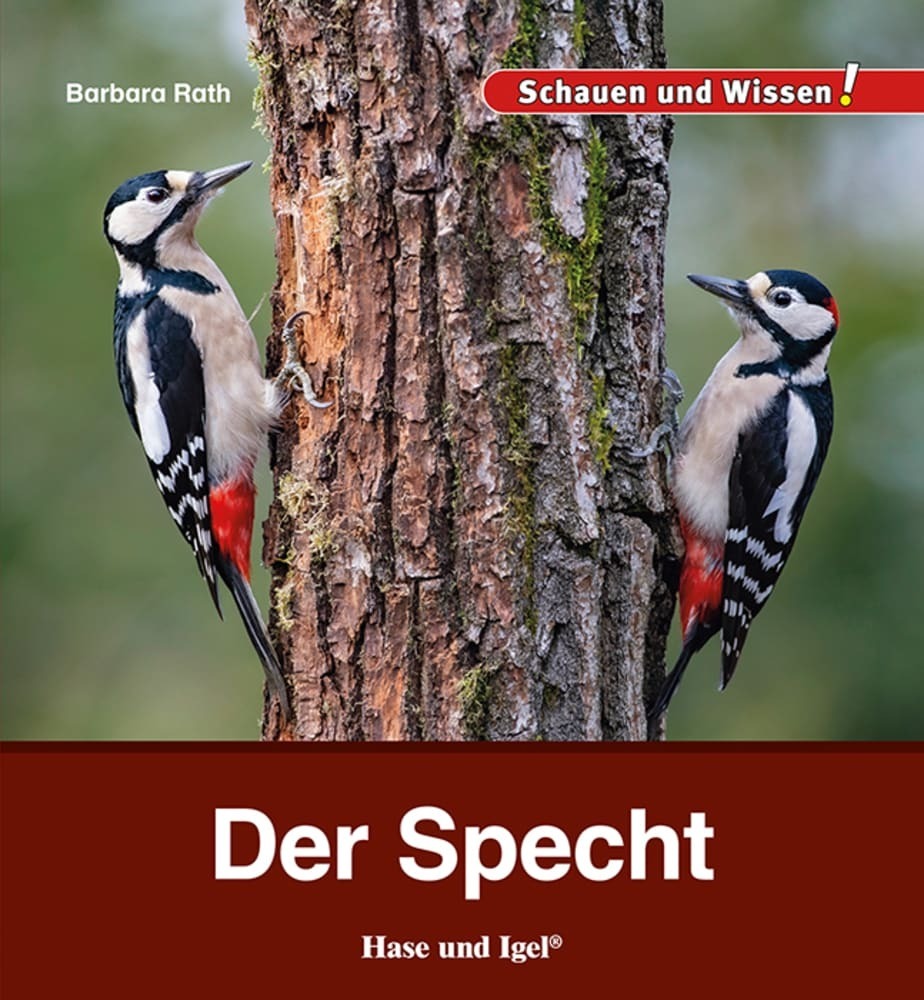 Der Specht (Barbara Rath)