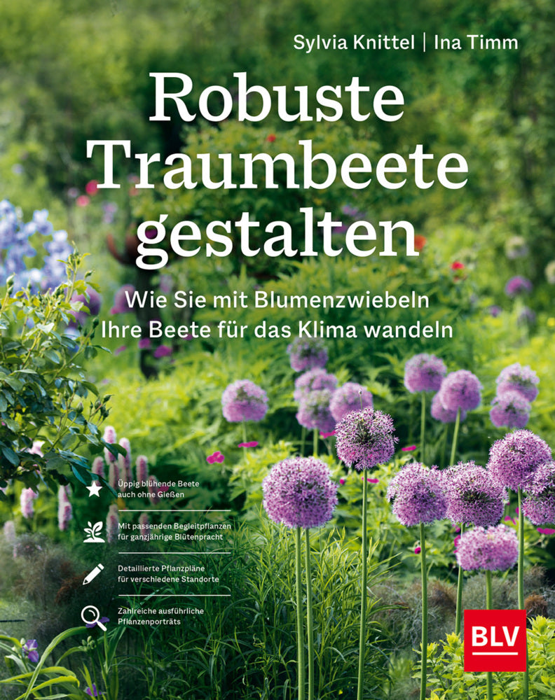 Robuste Traumbeete gestalten (Ina Timm)