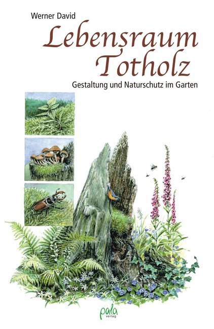 Lebensraum Totholz (Werner David)