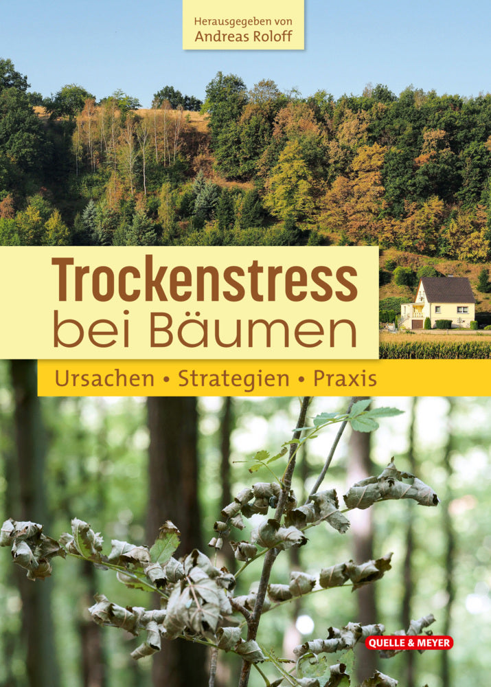 Trockenstress bei Bäumen (Andreas Roloff (Hg.))