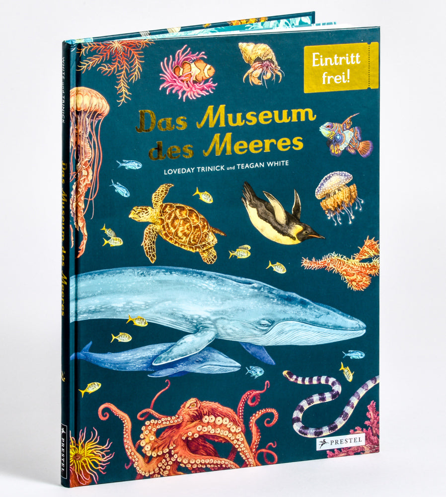 Das Museum des Meeres (Loveday Trinick)