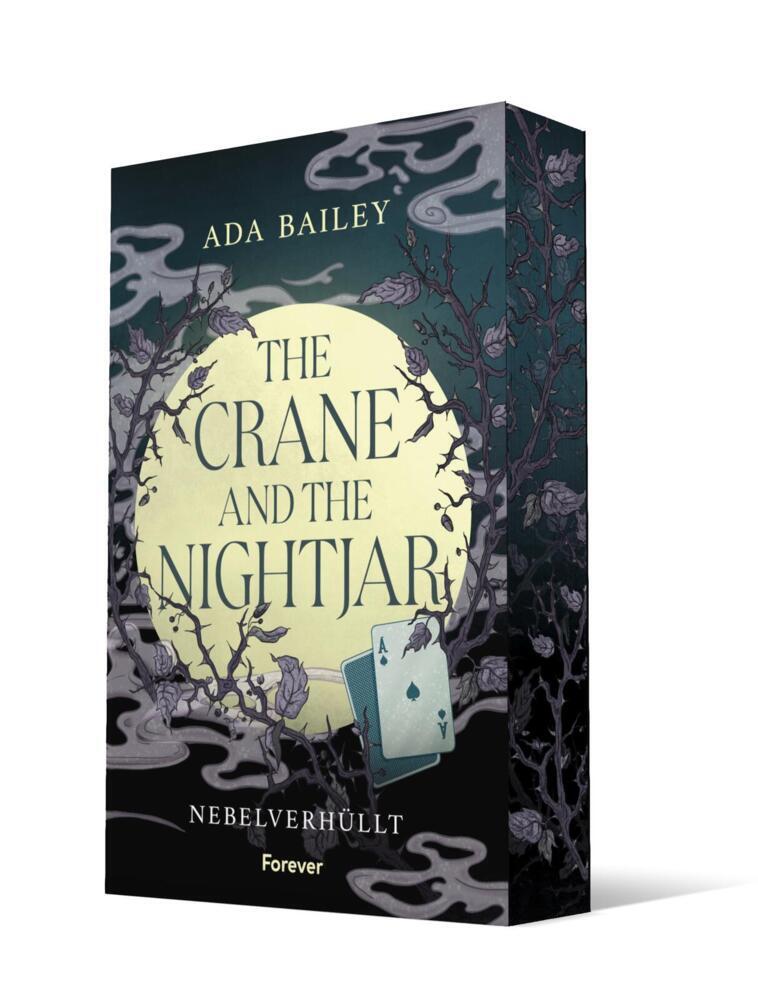 The Crane and the Nightjar (Ada Bailey)