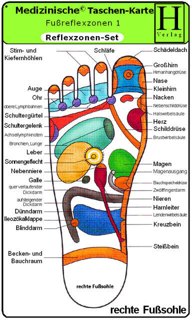 Reflexzonen Set - Medizinische Taschen-Karte (Hawelka Verlag)
