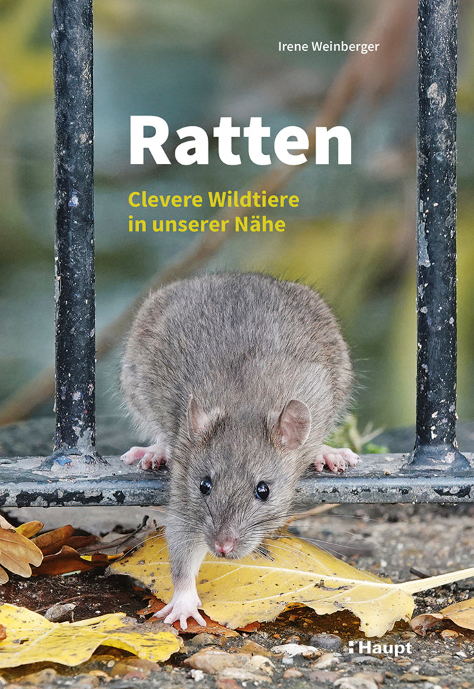 Ratten (Irene Weinberger)