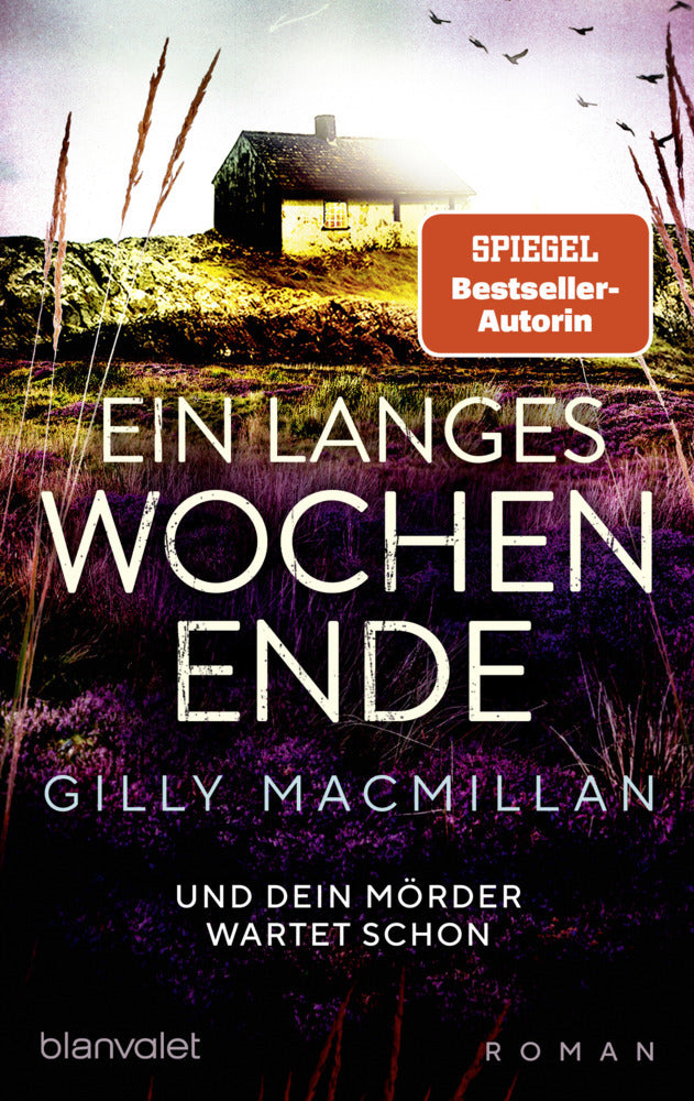 Ein langes Wochenende (Gilly Macmillan)
