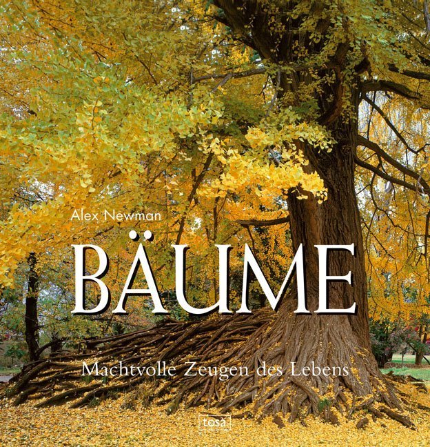 Bäume (Alex Newman)
