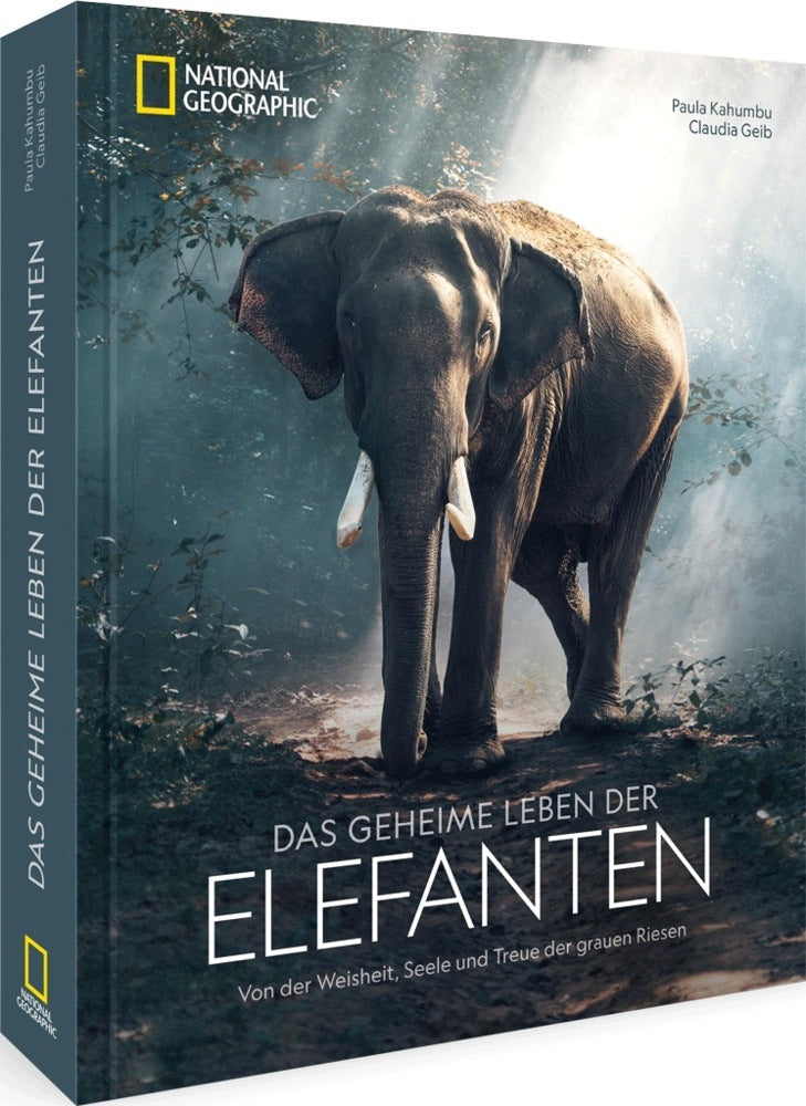 Das geheime Leben der Elefanten (Paula Kahumbu)