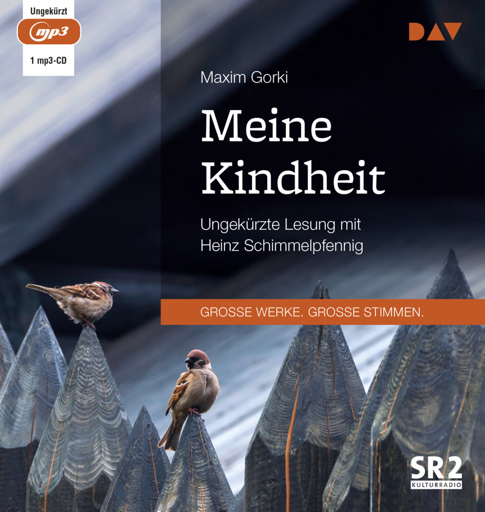 Meine Kindheit, 1 Audio-CD, 1 MP3 (Maxim Gorki)