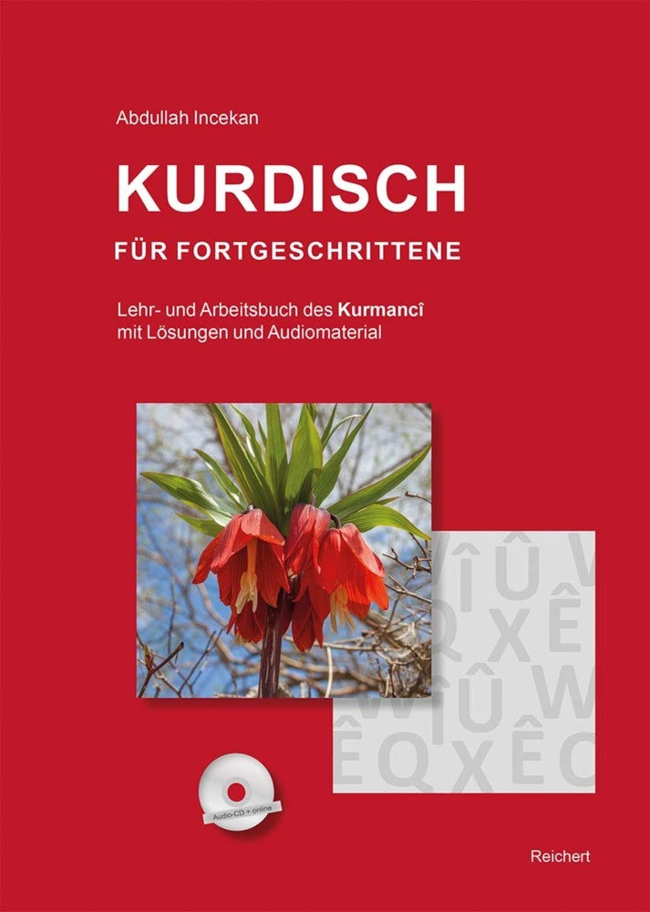 Kurdisch für Fortgeschrittene (Abdullah Incekan)