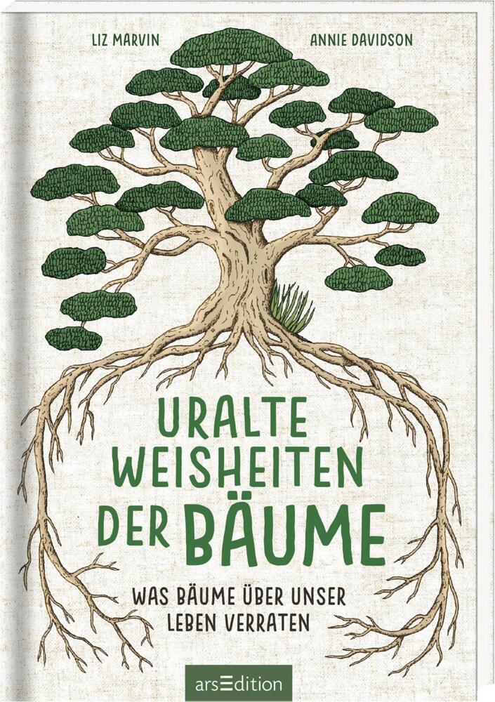 Uralte Weisheiten der Bäume. Was Bäume über unser Leben verraten (Liz Marvin)
