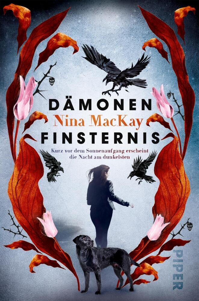 Dämonenfinsternis (Nina Mackay)
