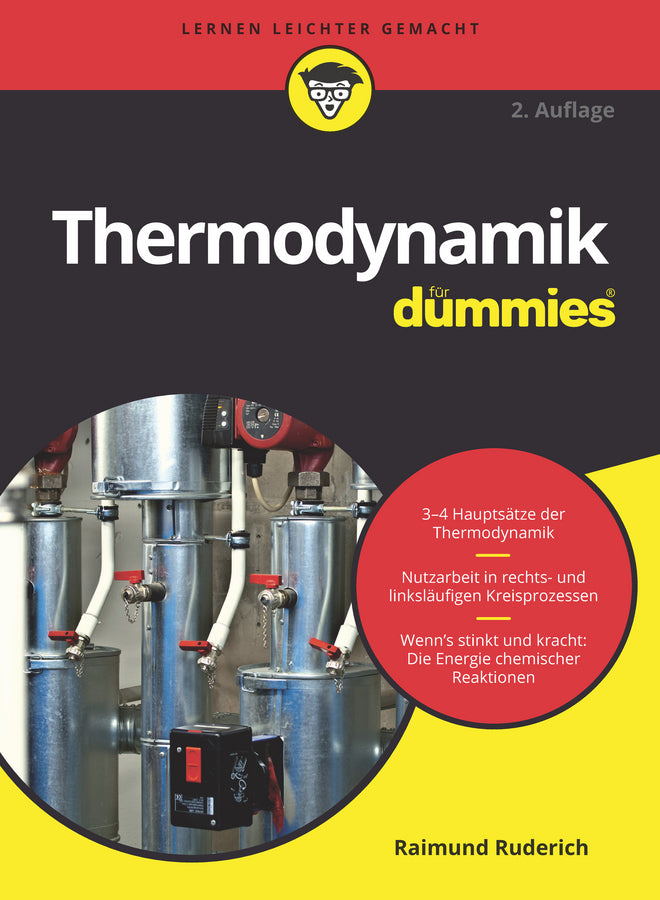 Thermodynamik für Dummies (Raimund Ruderich)