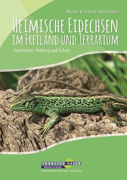 Heimische Eidechsen im Freiland und Terrarium (Werner Lantermann)