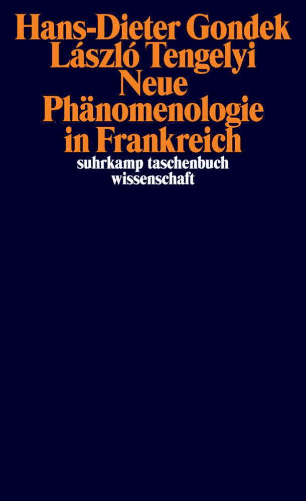 Neue Phänomenologie in Frankreich (Hans-Dieter Gondek)