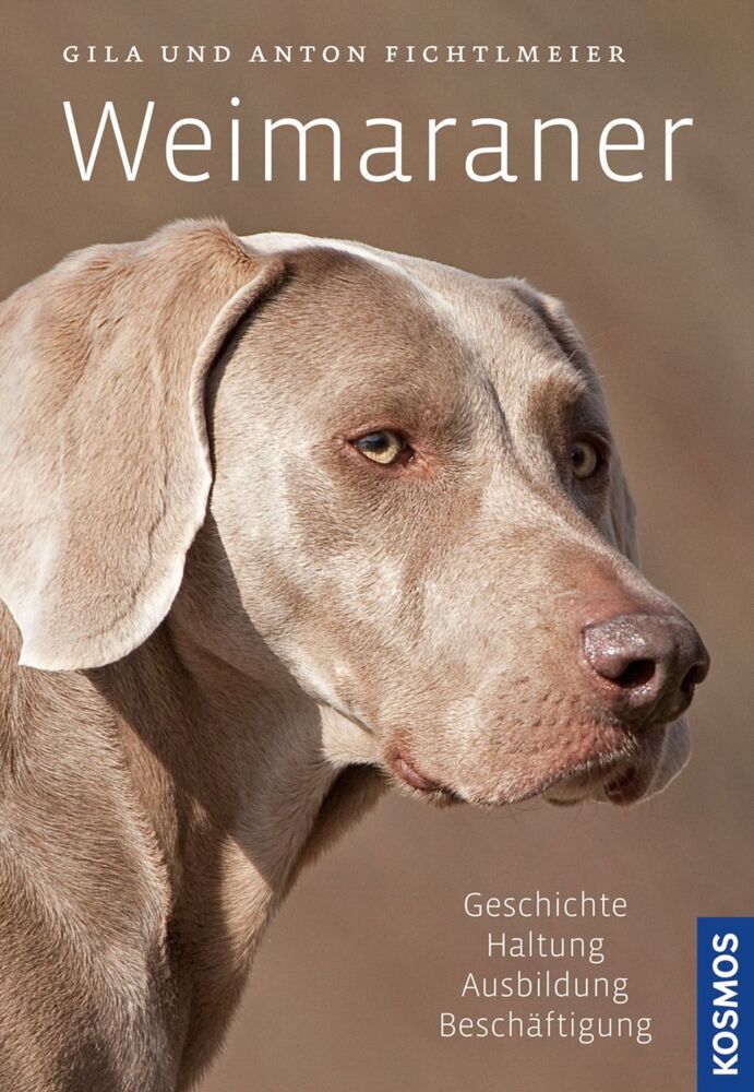 Weimaraner (Gila Fichtlmeier)