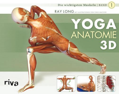 Yoga-Anatomie 3D.Bd.1 (Ray Long)