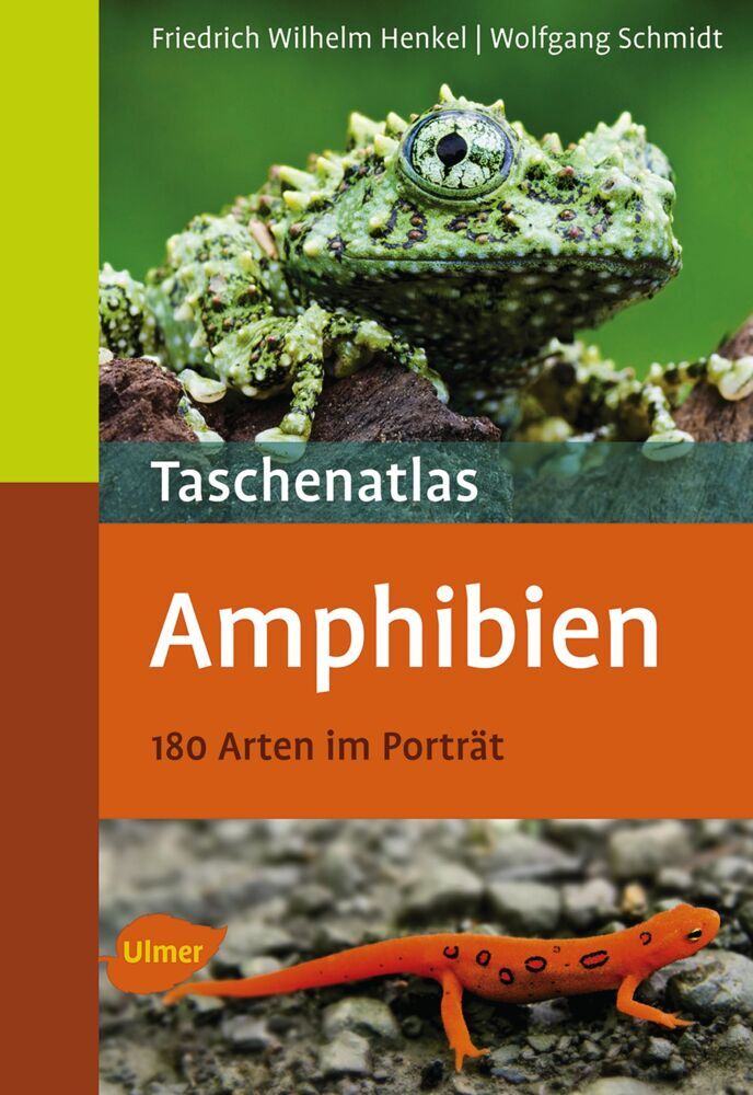 Taschenatlas Amphibien (Friedrich-Wilhelm Henkel)