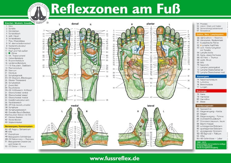 Reflexzonen am Fuß, Poster (Hanne Marquardt)