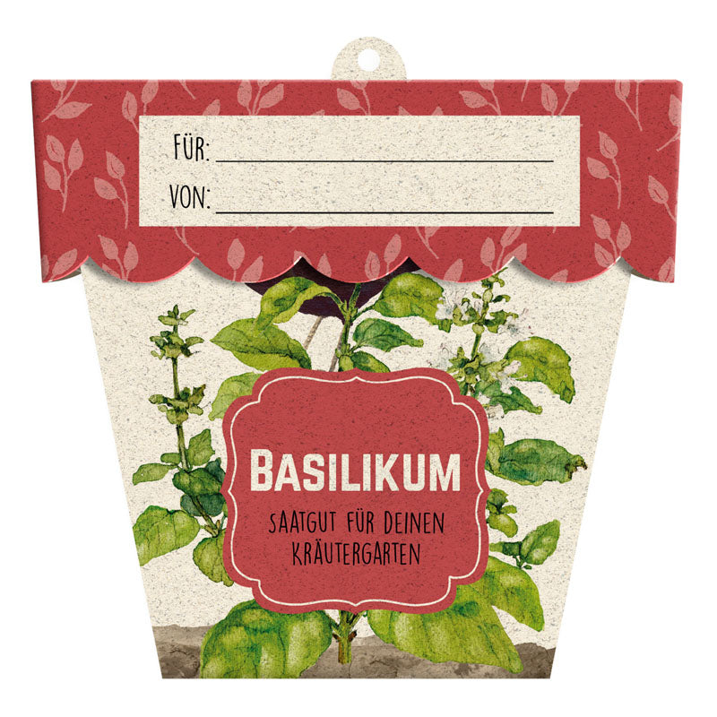 Saatgrüsse "Basilikum"