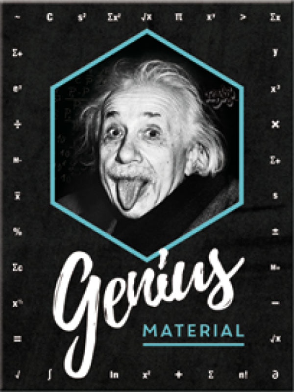 Magnet "Einstein" Genius