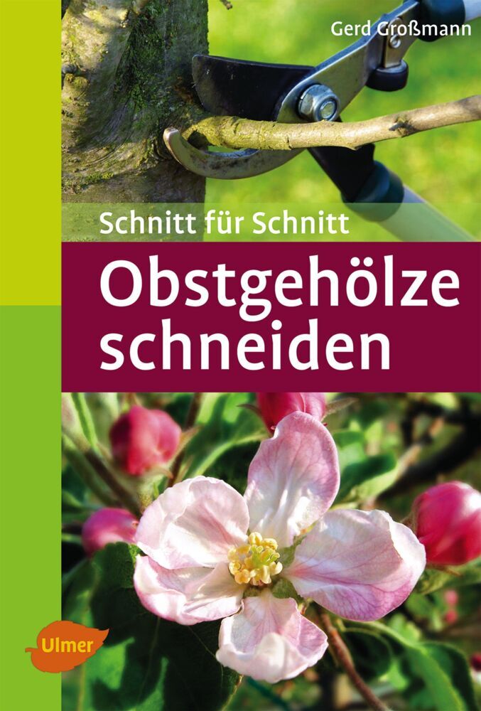 Obstgehölze schneiden (Gerd Großmann)