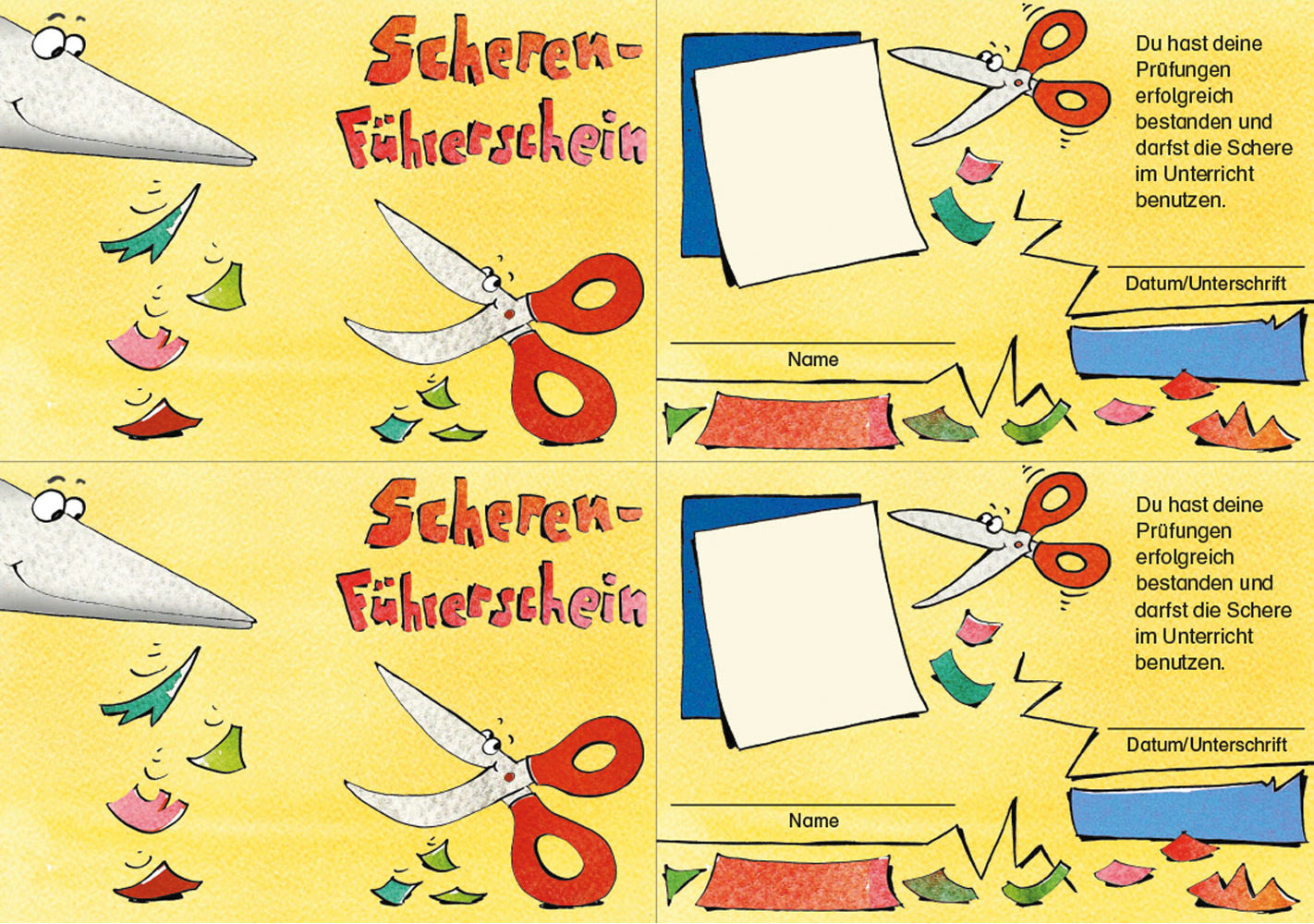 Der Scheren-Führerschein, Klassensatz (Johanna Roessler)