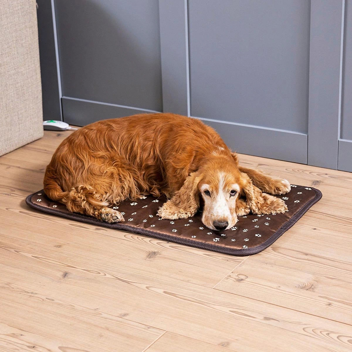 Beheizbare Hundedecke