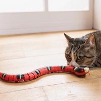 Katzenspielzeug "Cracy Snake"