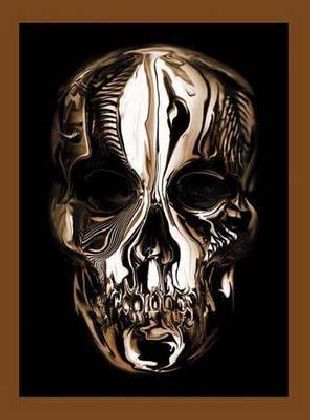 Alexander McQueen - Savage Beauty (Andrew Bolton)