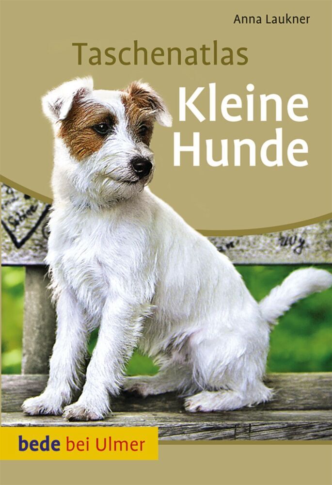 Taschenatlas Kleine Hunde (Anna Laukner)
