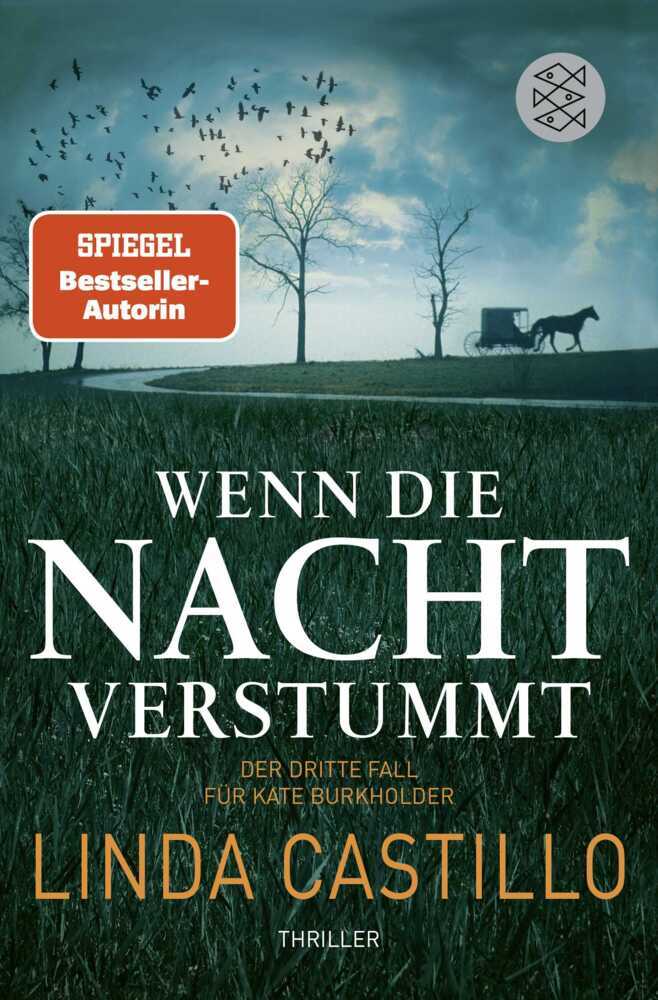 Wenn die Nacht verstummt (Linda Castillo)