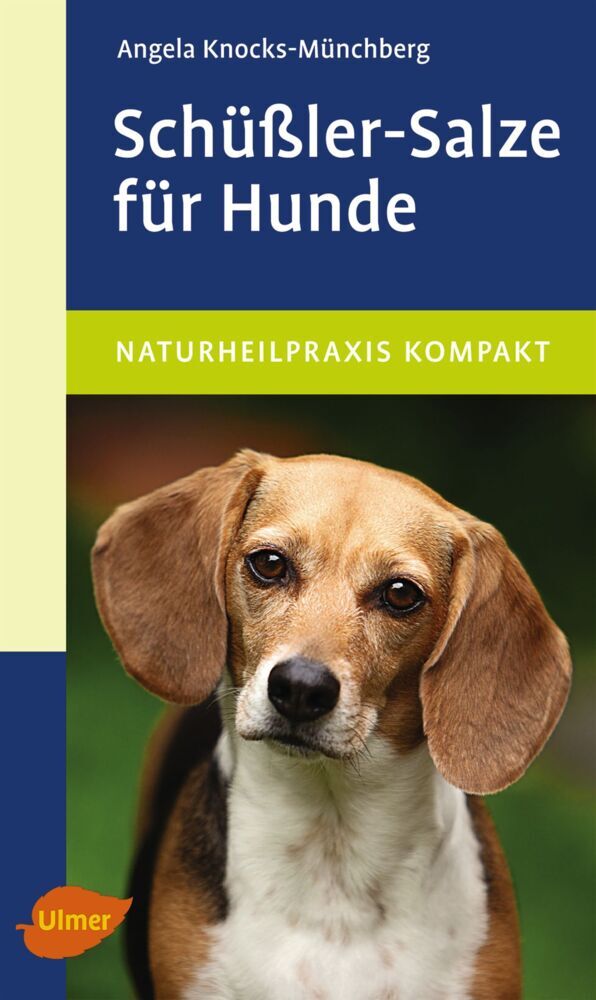 Schüßler-Salze für Hunde (Angela Knocks-Münchberg)
