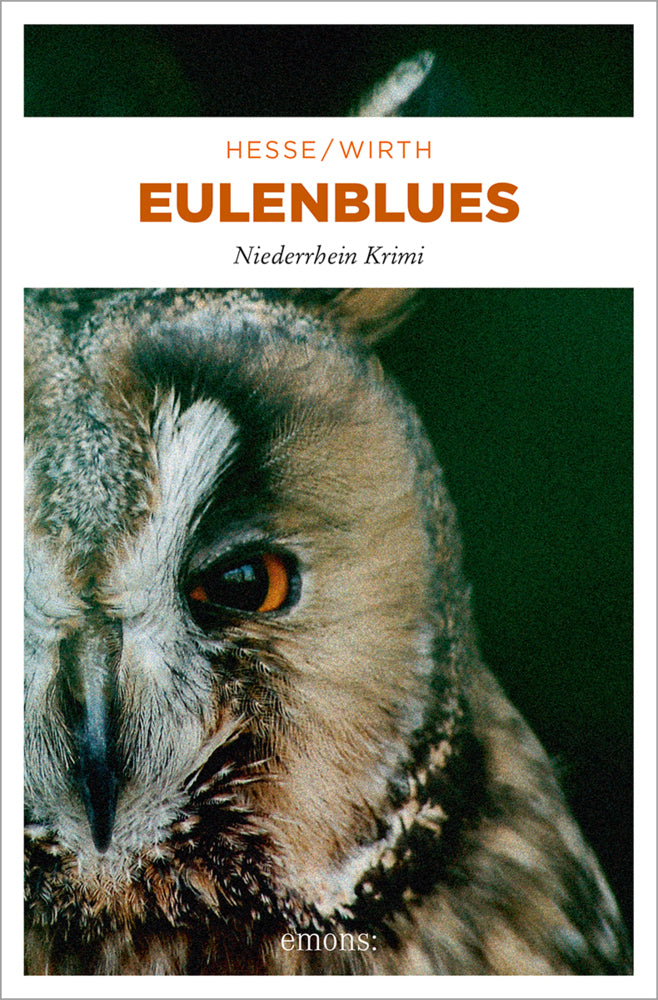 Eulenblues (Thomas Hesse)