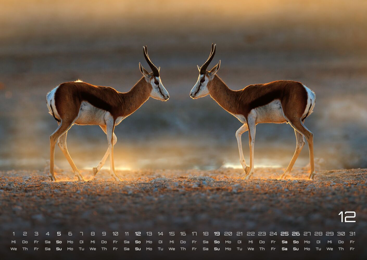 Afrikas Tierwelt Kalender 2027 (DIN A2, 42 x 59.4 cm)