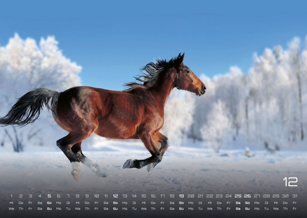 Pferdegeflüster - Der Pferdekalender 2027 (DIN A2, 42 x 59.4 cm)