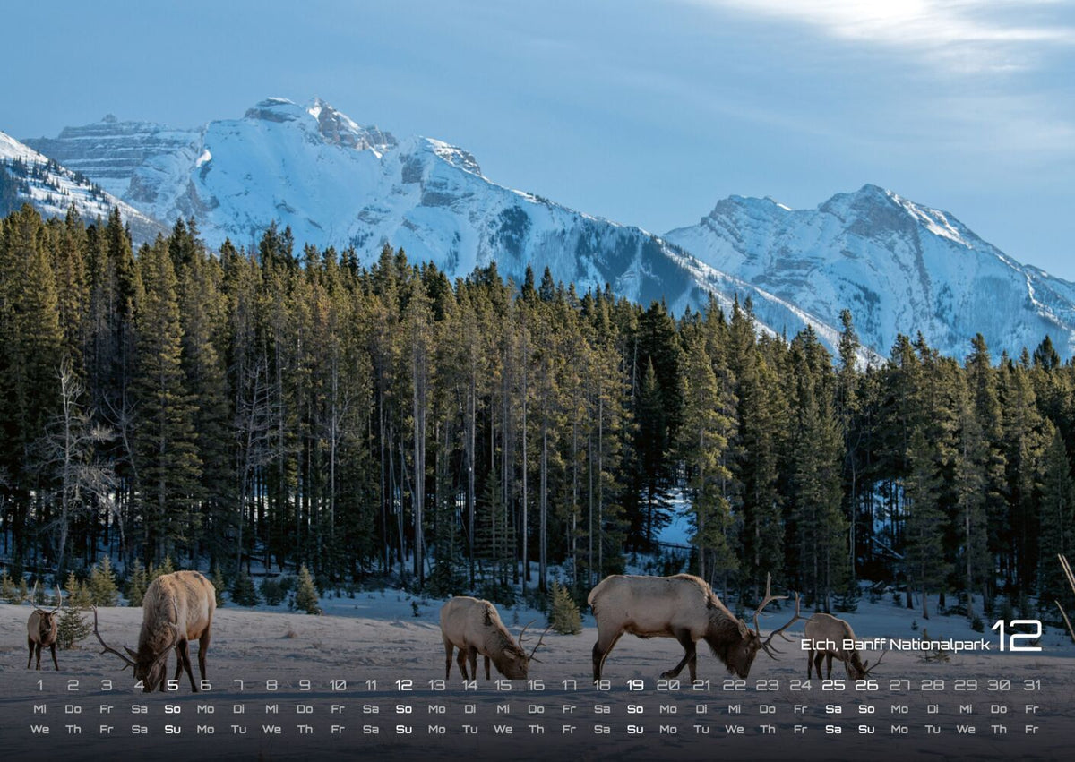 Kanada Kalender 2027 - Abenteuer Natur (DIN A2, 42 x 49.4 cm)