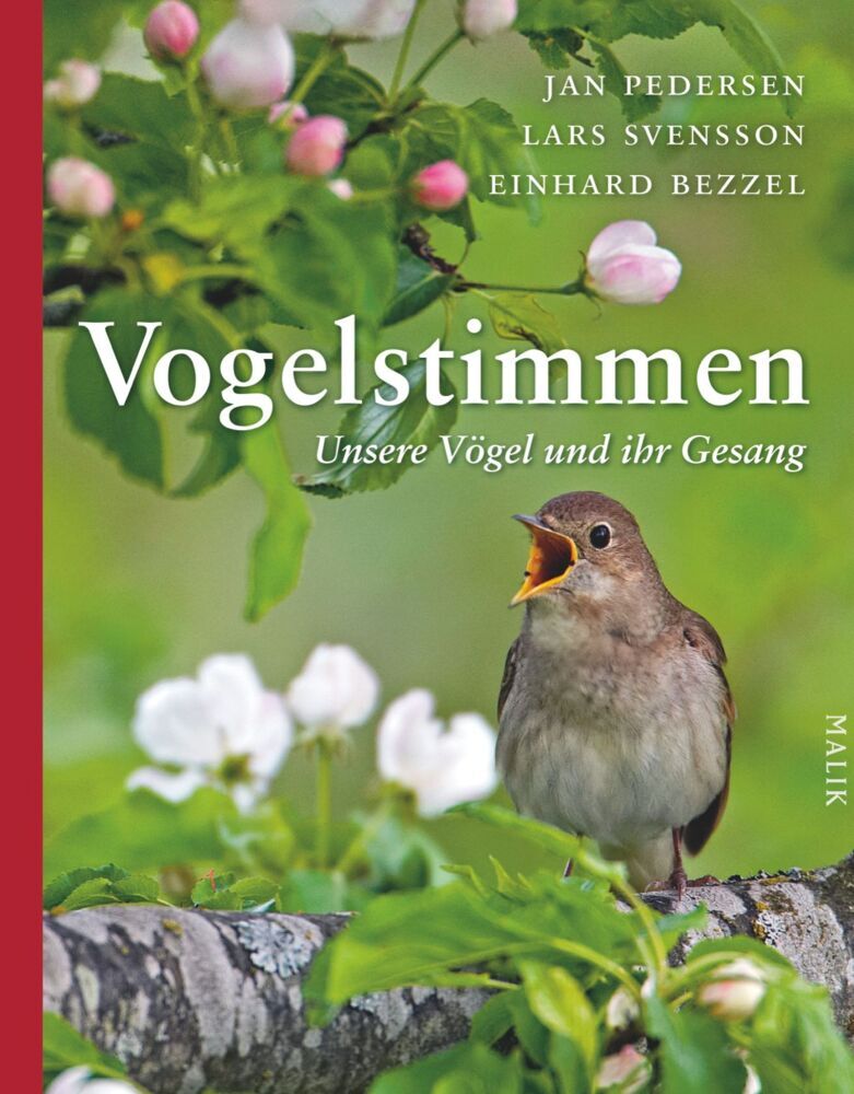 Vogelstimmen, m. Abspielgerät (Jan Pedersen)