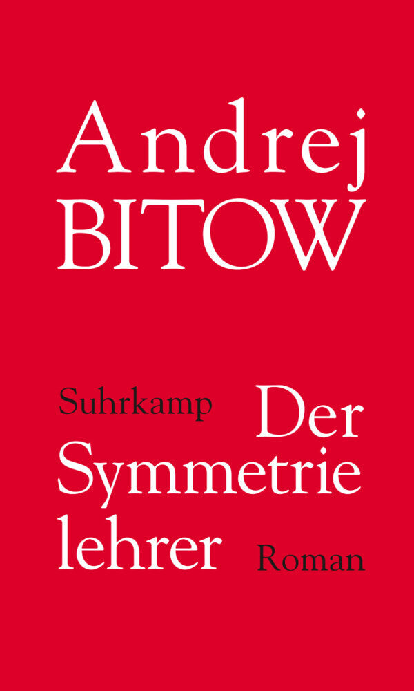 Der Symmetrielehrer (Andrej Bitow)