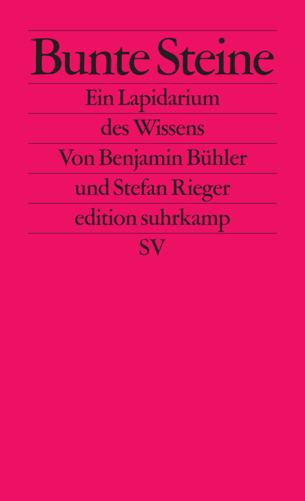 Bunte Steine (Benjamin Bühler)