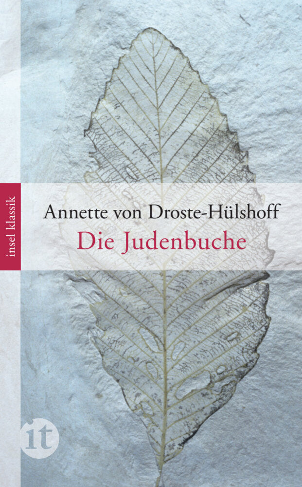 Die Judenbuche (Annette Von Droste-Hülshoff)