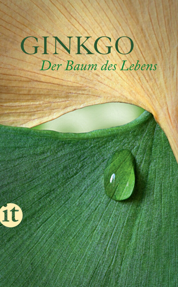 Ginkgo (Felicitas Bovis)