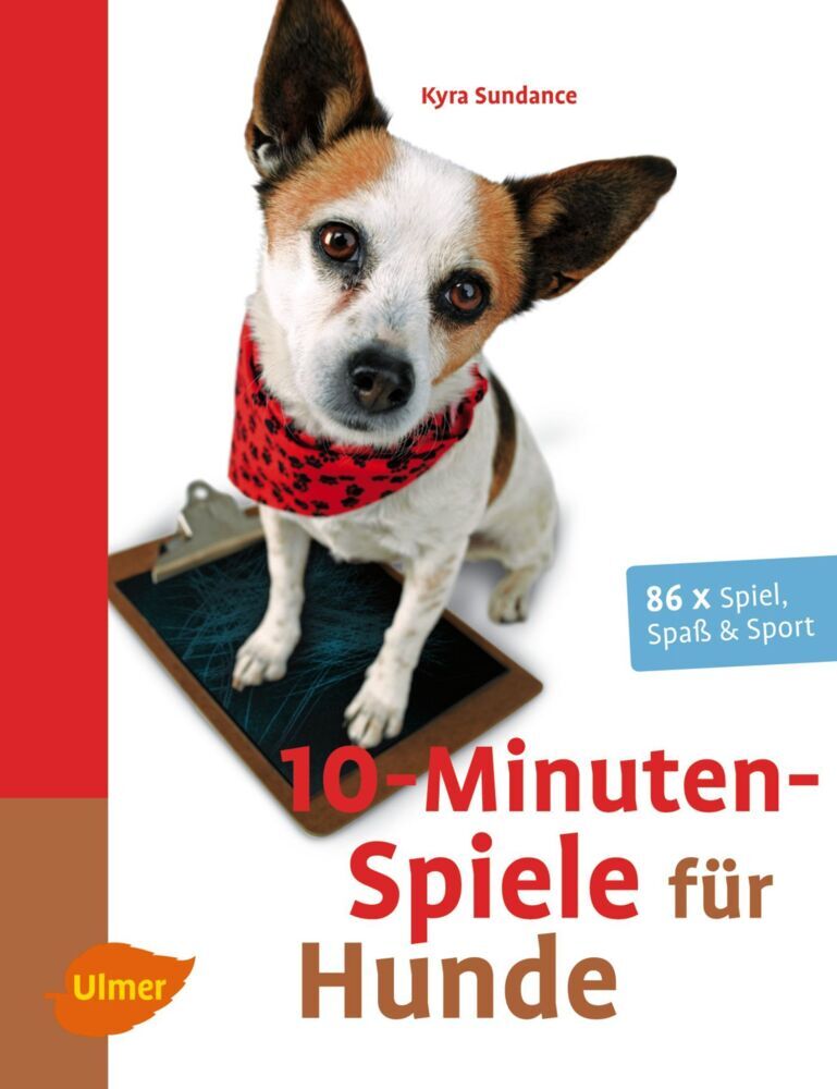 10-Minuten-Spiele für Hunde (Kyra Sundance)