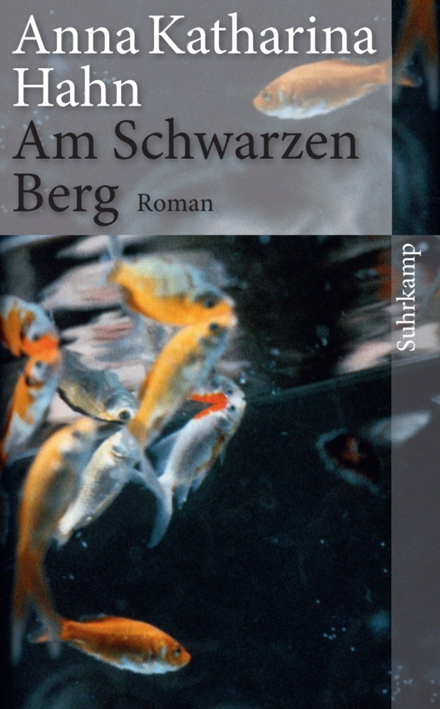 Am Schwarzen Berg (Anna Katharina Hahn)