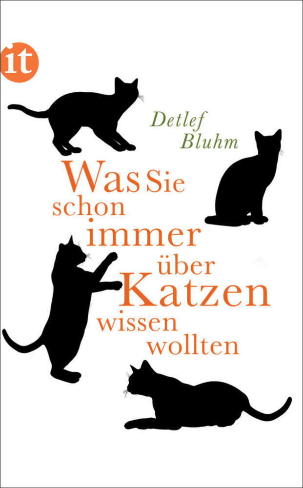 Was Sie schon immer über Katzen wissen wollten (Detlef Bluhm)